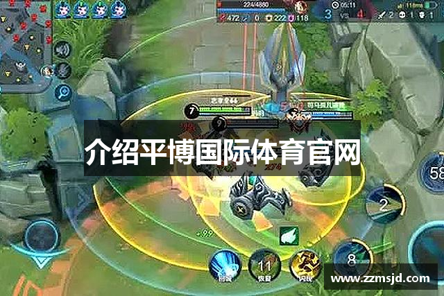 介绍平博国际体育官网